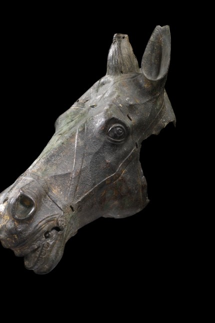 Augsburg: Der bronzene Pferdekopf war wohl ursprünglich Teil einer Quadriga.