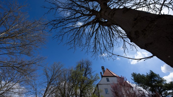 Bericht des Moosburger Stadtgärtners: Der überwiegende Teil der Bäume im Moosburger Stadtgebiet, hier der alte Baumbestand rund um das Schloss Asch, ist in einem guten Zustand.