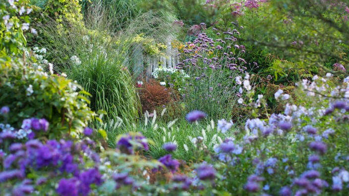 Garten: Sommerliche Pracht: In den Schaugärten gibt es Anregungen für Farb- und Pflanzenkombinationen.