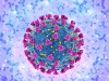 Antibodies and covid-19 coronavirus, illustration Illustration of antibodies (y-shaped) responding to an infection with