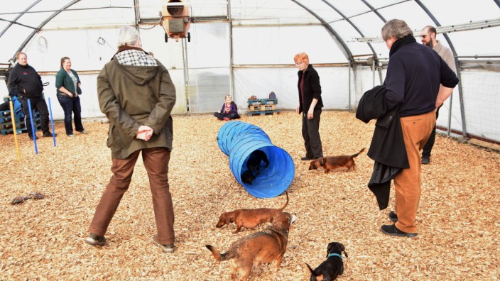 Freizeit: Wettergeschützt: In Puchheim können Hundebesitzer jetzt eine Halle mieten. Hier probieren sie die Dackelfreunde München, darunter Barbara Pohl (rechts) mit Mann und Stefan Pokorny.