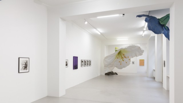 Gallery Weekend Berlin: "Die Blüten von Berlin" ist eine Installation von Petrit Halilaj und Alvaro Urbano in der Berliner Galerie ChertLüdde, die aus vorgefundenem Dekomaterial entstand. Daneben hängen Annette Fricks Fotos mit Motiven aus der Schöneberger Transen-Szene,