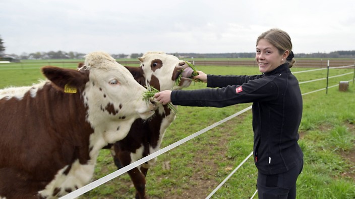 Agrar-Influencerin: "Die beiden wissen genau, wie sie es machen müssen": Anna-Maria Stürzer mit den Kühen Hanni und Nanni.