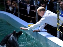 Ukraine: Gerüchte um Kampfdelfine