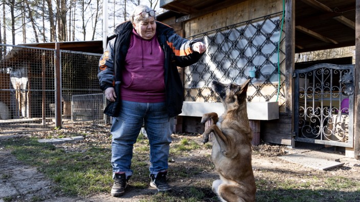 Haustiere: Roswitha Messinger kümmert sich um einen ihrer Gasthunde.