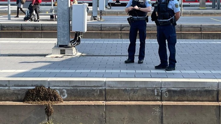 Würzburg: Eine Streife der Bundespolizei hat einen Bienenschwarm am Gleis 4 des Würzburger Hauptbahnhofs entdeckt.