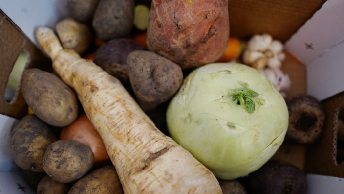 Rettung von Lebensmitteln: Die Münchner CSU will Münchnerinnen und Münchnern "Obst und Gemüse außerhalb der Norm" anbieten - an eigenen, speziellen Marktständen.