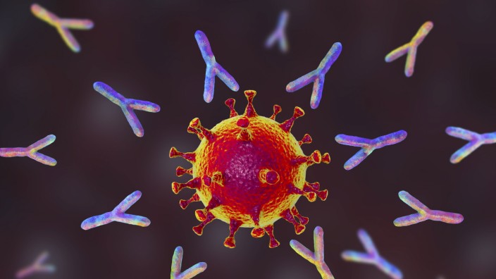 Corona-Update: Eine Illustration zeigt Antikörper gegen ein Coronavirus.