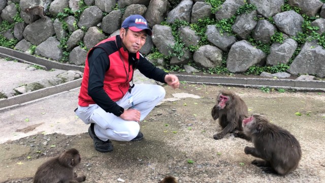 Animals: Yaki (center) with companion Satoshi Kimoto