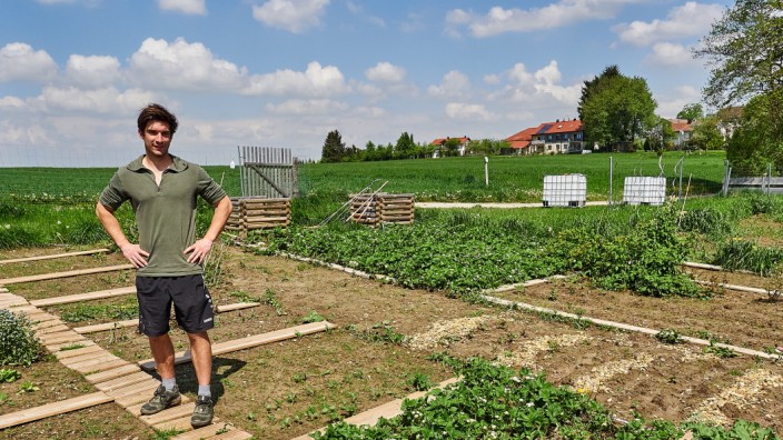 Nachhaltige Landwirtschaft: Lukas Höger inmitten seiner Mikrofarm. Um den Boden nicht zu stören, darf man sich nur auf den kleinen Holzstegen bewegen.