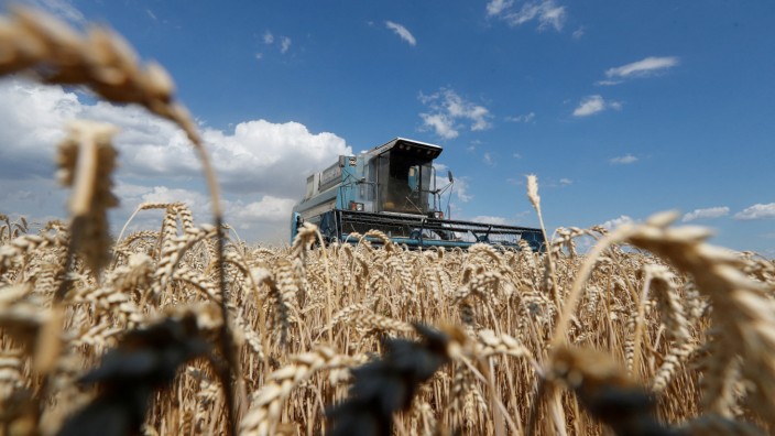 Lebensmittelpreise: Getreidefelder im Süden der Ukraine. Wegen des Überfalls russischer Truppen könnte es zu Ernteausfällen und steigenden Preisen kommen.