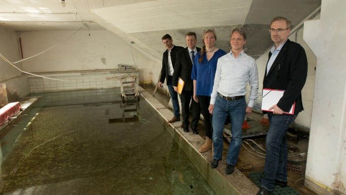 Grundwasser-Notstand in Schwabing: Ortstermin am überfluteten Pool (von links): Eric Beißwenger, Robert Brannekämper, Franziska von Gagern, Rechtsanwalt Benno Ziegler, Alexander Flierl.
