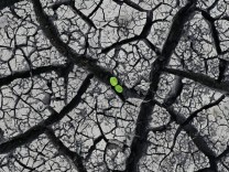 Trockenheit: Droht wieder eine Dürre?