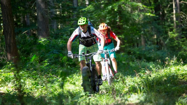 Wald und Feld: Mittendurch: Mountainbiker sind im Wald unterwegs.