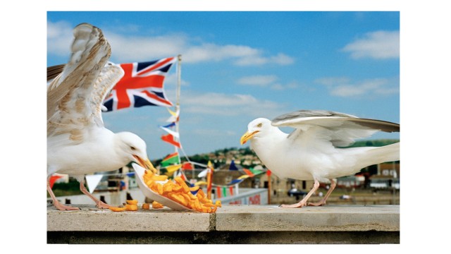 Foto-Chronist der Britishness: English Breakfast am Strand von Dorset, 1996.