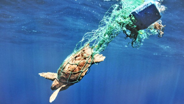 Verschmutzung der Meere: Starnberg: Sparkasse 'Helden der Meere' - Fotoausstellung von York Hovest li: Petra Brüderl und rechts: Sabine Schellerer Repro: Nila Thiel