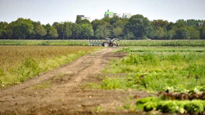 Streit um SEM: 40 Prozent der Flächen im Stadtbezirk Feldmoching-Hasenbergl werden für Landwirtschaft und Gartenbau genutzt.