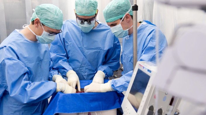 Organtransplantation: Das Ärzte-Team schließt die Spenderleber im Reinraum an die Perfusionsmaschine an.