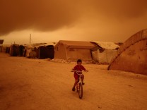 Bedrohte Biokruste: Ein natürliches Hilfsmittel gegen Sandstürme droht zu verschwinden