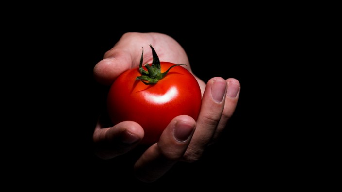 Ernährung: Durchschnittlich 31,3 Kilogramm Tomaten isst inzwischen jeder Deutsche pro Jahr.