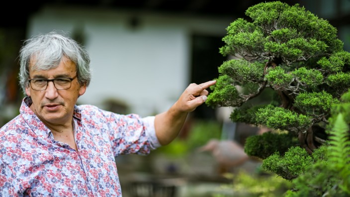 Gartenkunst: Besonderer Schnitt: Züchter Harald Lehner mit einem 150 Jahre alter Wacholder in Bonsai-Größe.