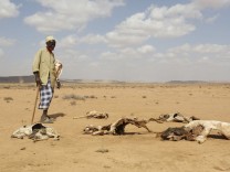 Welternährung: Von der Klimakrise zur Hungersnot