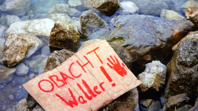 Workshop mit Kamera: "Obacht Waller!" Der Filmtitel erscheint im ersten Bild.