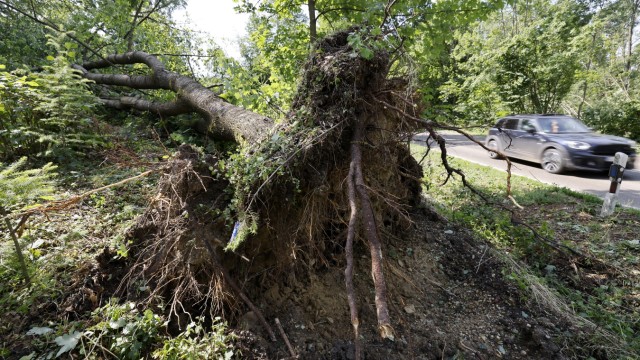 Hagelsturm in Moosburg und Umgebung: Der Sturm wütete mit einer Geschwindigkeit von 115 Stundenkilometern und fällte auch diesen Baum zwischen Thalham und Attenkirchen
