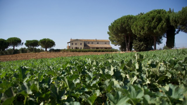 Organic Farming: A former derelict country estate near Albinia is now postcard-worthy, the production facilities have long been elsewhere and: much bigger.