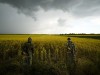Bewegung bei Verhandlungen zu russischer Getreideblockade
