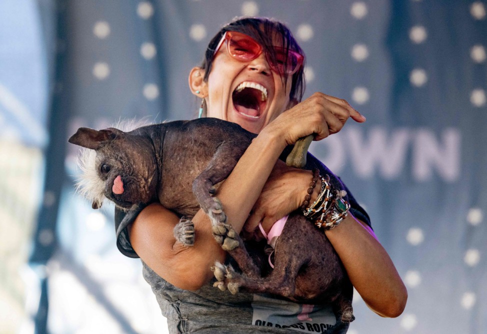 World's Ugliest Dog Competition