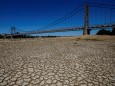 Frankreich: Eine Hitzewelle hat das Bett der Loire austrocknen lassen