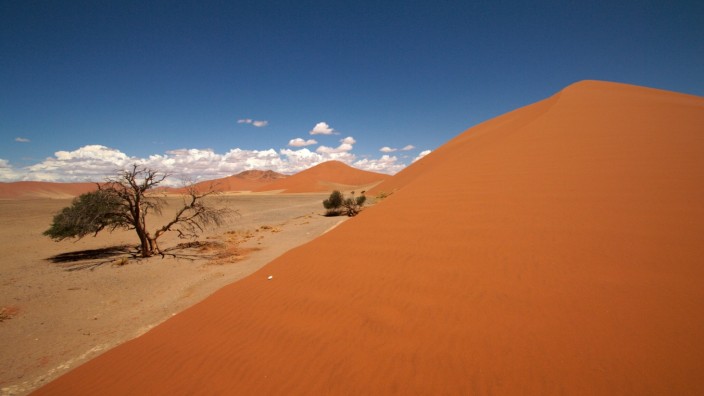 Gabriele Riedle: "In Dschungeln. In Wüsten. Im Krieg": Kann man sich in Hochglanzmagazinen angucken oder auf Google Maps, aber gesehen hat man sie dann nicht: majestätische Landschaften wie hier die Namib-Wüste.