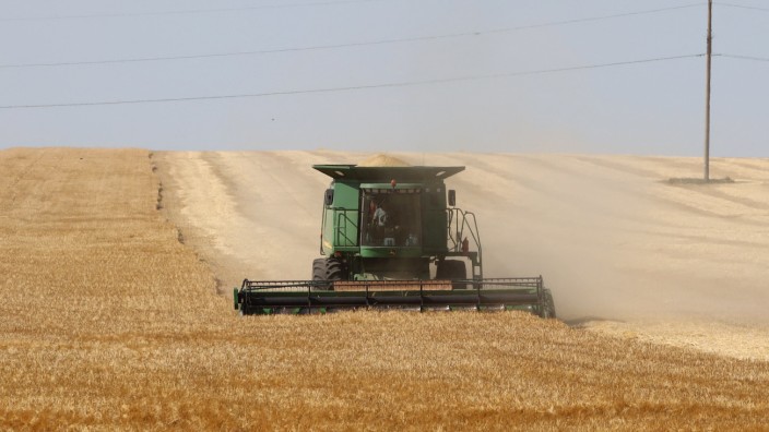 Ukraine-Krieg: Ein Weizenfeld in der Ukraine: Der Preis für das Getreide ist an den Börsen teilweise eingebrochen.