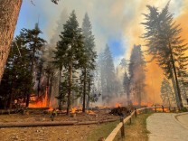 Kalifornien: Waldbrand bedroht Mammutbäume im Yosemite-Park