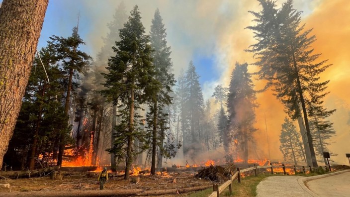 Kalifornien: Der Waldbrand in Kalifornien ist inzwischen auf mehr als 180 Hektar angewachsen.
