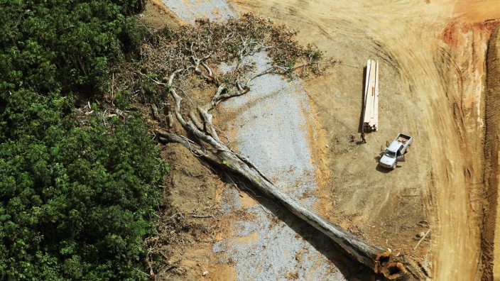 Europäische Union: Baumfällarbeiten im Amazonas in der Nähe von Altamira in Brasilien. Auch die europäische Nachfrage nach Holz, Rindfleisch, Soja oder Palmöl fördert solche Entwaldungsaktionen.