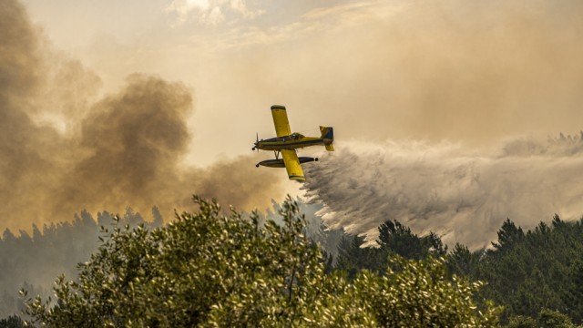 آتش سوزی جنگل: پرتغال: نزدیک شهر پومبال