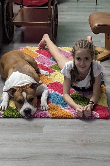 Ukrainische Familie bangt um Haustier: Ihr halbes Leben hat Maria mit dem American Staffordshire-Terrier verbracht. Nun ist undgewiss, ob er weiter an ihrer Seite bleiben darf.