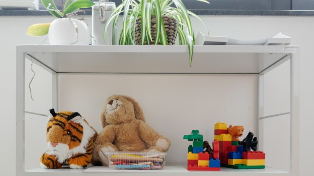 Hilfe für Familien: Familien, die Röhrl betreut, kommen auch zu Terminen in sein Büro. Deswegen hat er ein paar Spielsachen im Regal für die Kinder.