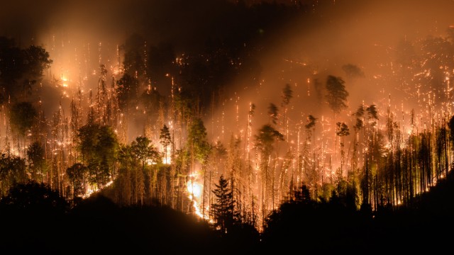 Waldbrände: Der tschechische Nationalpark Böhmische Schweiz, an der Grenze zu Sachsen, steht in Flammen.