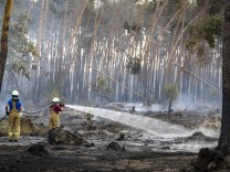 Waldbrand in Brandenburg: „Die Hitze, der Rauch, überall nur Tod“