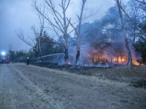 Liveblog zur Hitzewelle: Waldbrand im Süden Brandenburgs wieder aufgeflammt