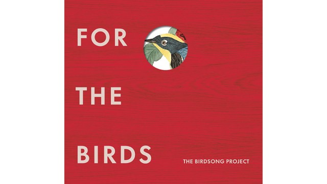 Favoriten der Woche: Im "Birdsong Project" finden Vogelschutzbestrebungen und Pop-Intellektualität aufs Schönste zusammen.
