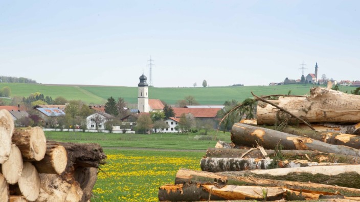 Energiepreise: Aufgeschichtete Baumstämme mit dem Kirchturm des Orts Alxing bei Bruck im Hintergrund.