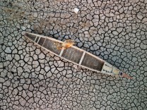Klimakrise: Steht die Menschheit vor dem Kollaps?