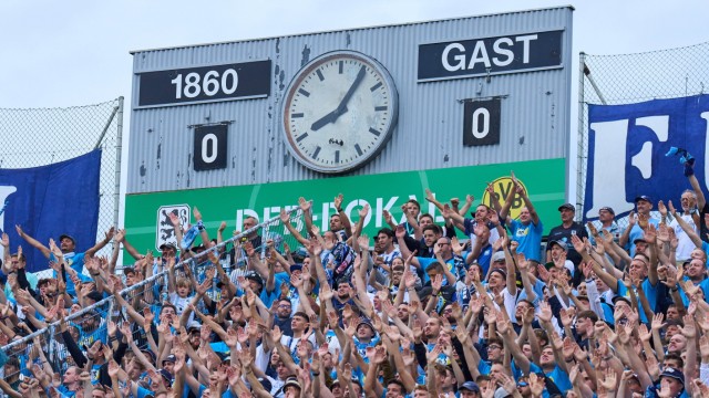 TSV 1860 München: Hier könnte Ihre Werbung stehen: Die Beinahe-LED-Tafel der Münchner Löwen beim DFB-Pokalspiel gegen Dortmund.
