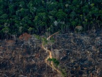 Brasilien: Wahlkampf im Regenwald