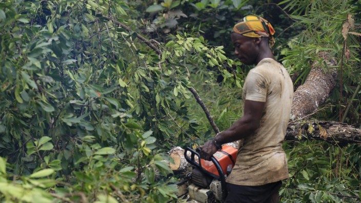 Regenwald im Kongo: Der Boden der Regenwälder in der Demokratischen Republik Kongo hält riesige Mengen Treibhausgas fest. Ausgerechnet hier soll nach Öl und Gas gebohrt werden.