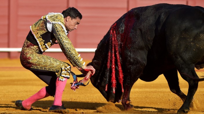 Serie "Spezialauftrag": Ein spektakulärer Moment während eines der Stierkämpfe in der größten Stierkampfarena Spaniens, in Las Ventas, über die Vicente Zabala de la Serna schreibt.